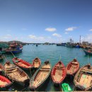 오렌지월드타운 이미지