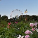 홈브리지 캐빈호스텔 | 에버랜드 숙소 홈브리지 캐빈호스텔 예약 방법부터 주니어 스위트 이용후기까지