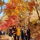1박2일 이미지