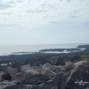 무릉리-11 | 제주도 노을해안로 돌고래 스팟 장소 시간, 아이들과 도전한 후기