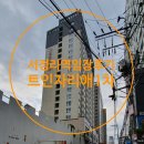 트인자리애1차 이미지