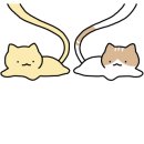 장찬길 이미지