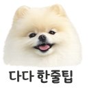 행정용 6번 | 백석동 네일 | 엄마 손에 봄이 온 네일 바이 무제 이달의 네일 후기