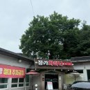 정가차이나 | 이천 중국집 정가차이나 묵화솜탕수육