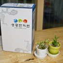 성광한의원 이미지