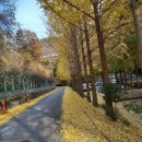 장태산 힐링타임 이미지