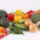 하지정맥류의 치료와 예방 이미지