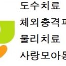 어깨사랑마취통증의학과의원 이미지