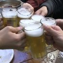 부어라마셔라 연합뉴스