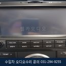 카오디오수리