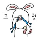 우신펫샵 이미지