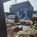 토니아푸드