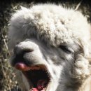 클라우드힐 이미지