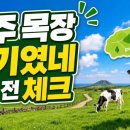송지축산 | 콩콩팜팜 촬영지 건준목장, 위치부터 방문 전 확인할 점까지 한 번에 정리
