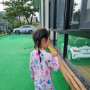 어메이징 키즈펜션 | 대부도 키즈풀빌라/어메이징 키즈펜션 놀게 많아도 너무 많아 좋은 곳