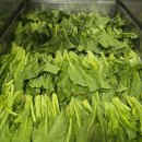 돌산 | 여수조여사 돌산갓김치 생생후기 / 돌산갓의 계절별 특징