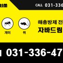 자바드림