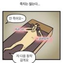 짐엑스 신대방점 이미지