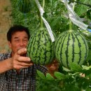 박병찬농장 이미지