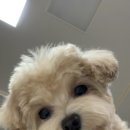 돈워리비해피 이미지