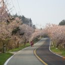 매봉산2길 이미지