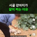 “엇 뼈? 밥 먹어” 짤 주인공 가족이 또 멍줍한 이야기 이미지