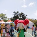 제주13月