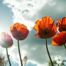 유정한의원 이미지