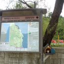 장호초교 Daum카페