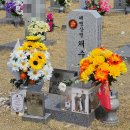 현충원 산책길 | [국립대전현충원 방문기] 서해 수호 55용사부터 홍범도 장군까지, 잊지 못할 숭고한 발걸음