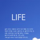 무무랑 이미지