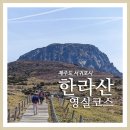 제442차 정기산행(제주 특별산행) 이미지