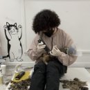 션하냥 | 김포고양이미용 나도다컸어요! 한살 먼치킨 미용하러 파주에서 재방문 왔어요