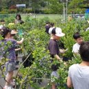 운리초교 이미지