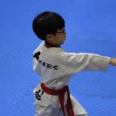 경희대석사 삼일 태권도장 이미지