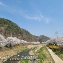 익금2교 이미지