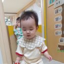 꼬맹이숟가락