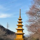 창원 성주사 삼층석탑 | 창원 여행 코스 성주사 불모산 사찰 부산 근교 나들이