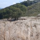 산정5일시장 이미지