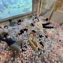 참태권도 이미지