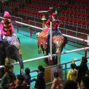 점보빌리지 이미지