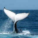 주식회사 유창환경 이미지