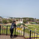 안면도덤앤더머 이미지