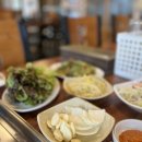 경성멧돼지