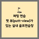 우리동네 골프연습장 | 실내 퍼팅연습장; 수도권 펏뷰(putt-view) 설치 실내 골프 연습장