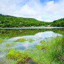 은혜과일야채 이미지