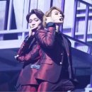 안녕강아지 이미지