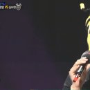 네이비(NAVY) 이미지