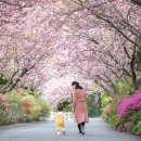 만수노인복지원 이미지