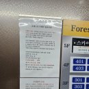 포레스트스테이 | 포레스트 스테이 풀빌라 후기｜프라이빗 수영장 있는 힐링 숙소, 감성 숙소 찾는다면